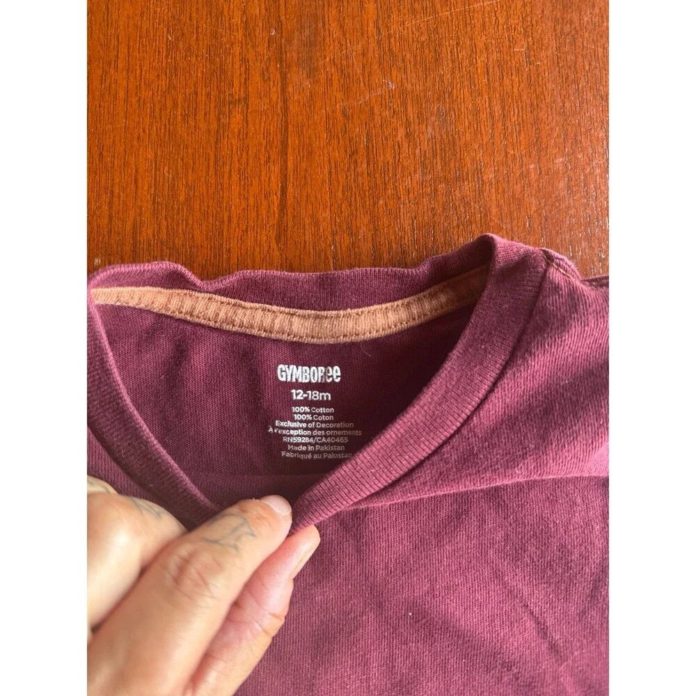Gymboree Horse boys tee